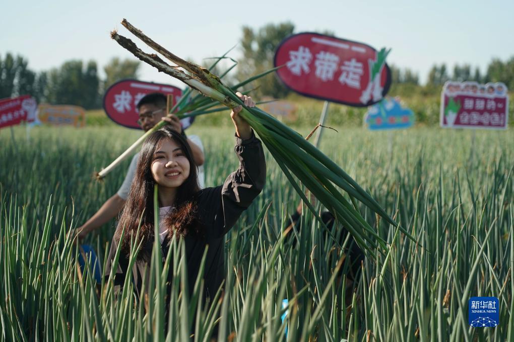 澳门威利斯游戏网站